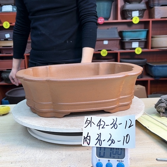 红陶海*生紫砂花盆里放上