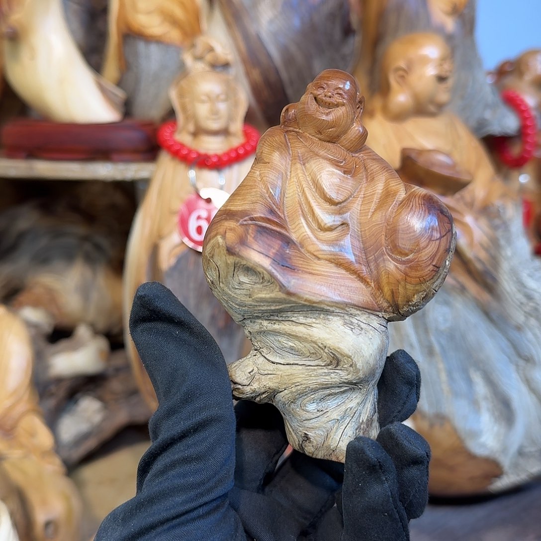 柏木（崖柏）666666666