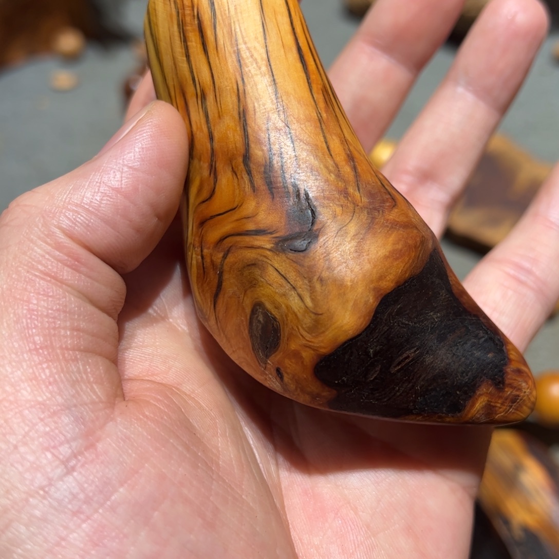 柏木（崖柏）北太行陈化崖柏