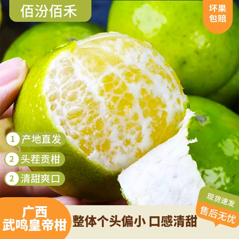 佰汾佰禾优选 广西皇帝柑3/4.5斤 当季新鲜水果柑橘 皮薄清甜多汁