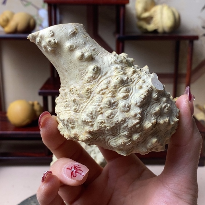 香榧木永*黄杨木手把件