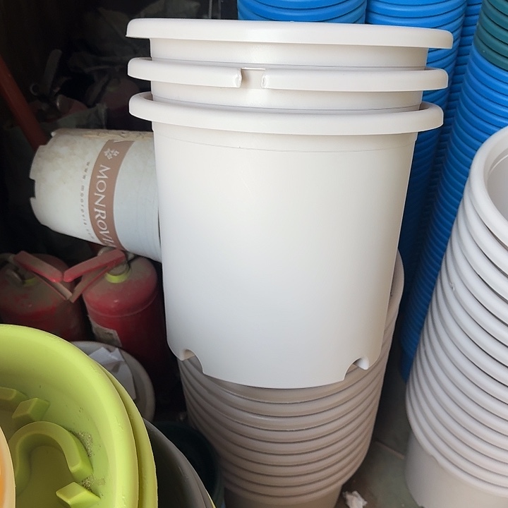 缺口6#口径32灰白10个无托