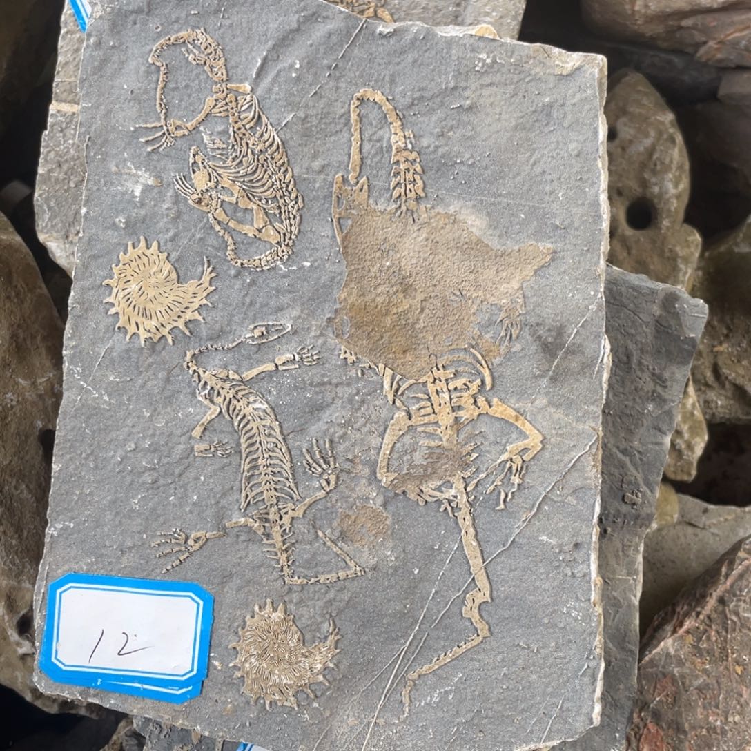 石材12222222222222222222