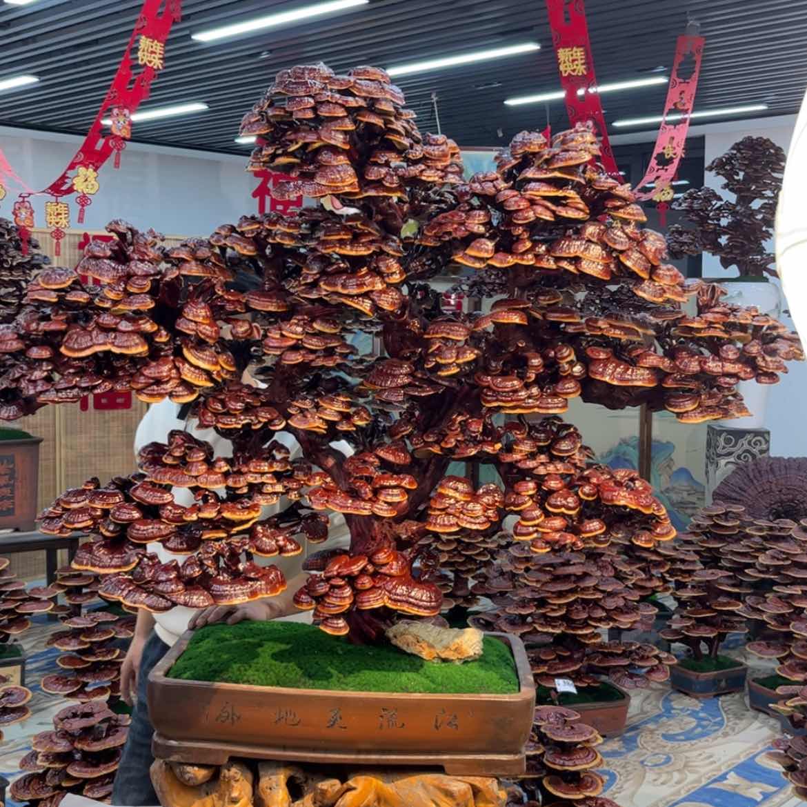 【闪购商品】88888