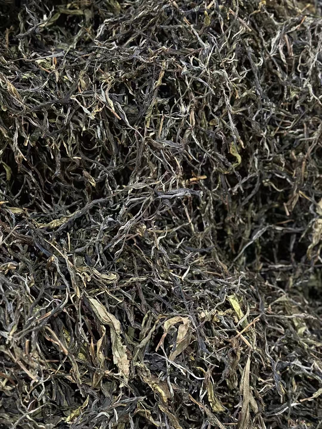 新人礼包昔归古树到手200克每款茶样个50克共4款