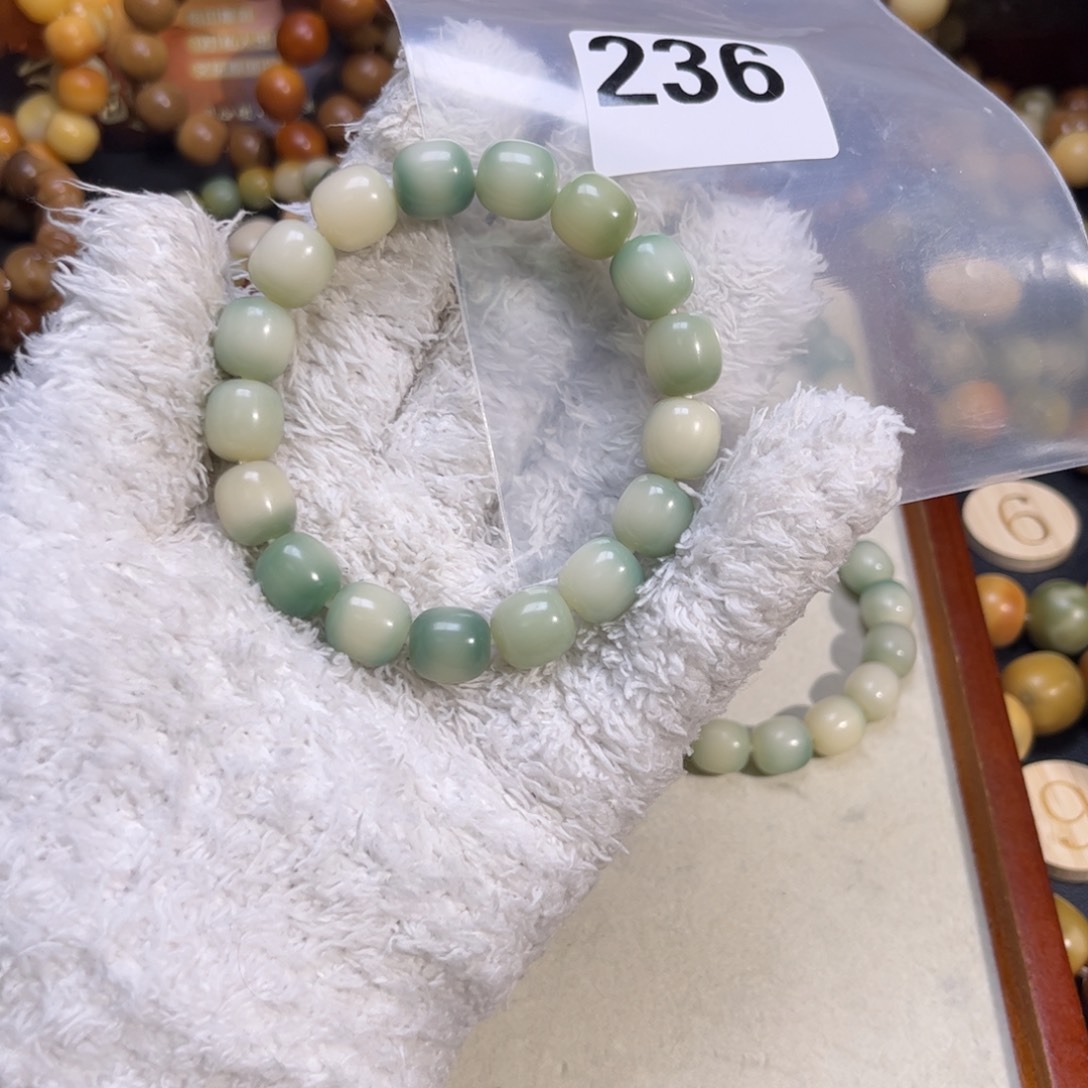 菩提根/象牙果吊坠236