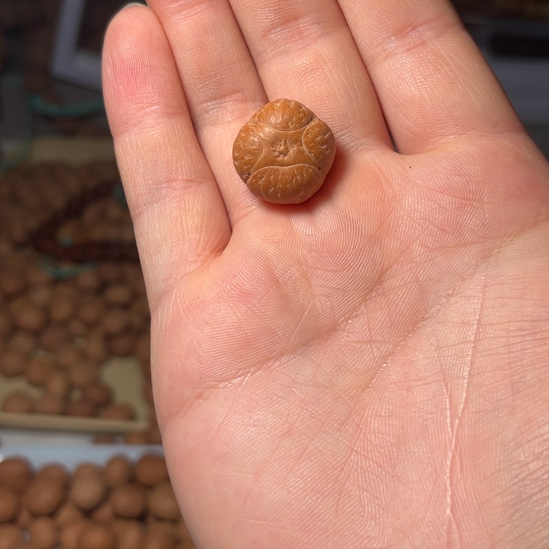 桃核吊坠19mm麒麟眼，开孔不退，偏远不包