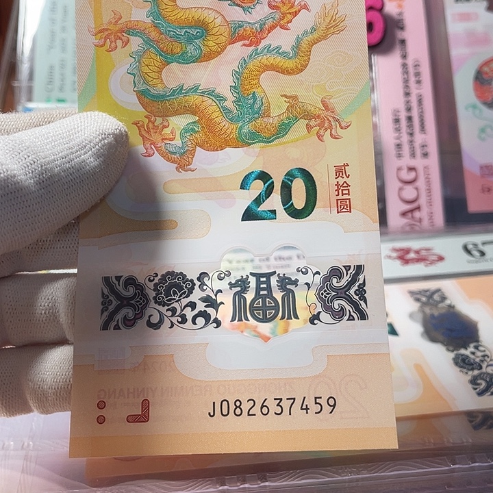 塑料乱龙 082637459