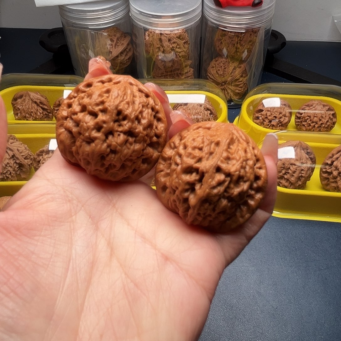 龙***哥核桃39尺寸金公子