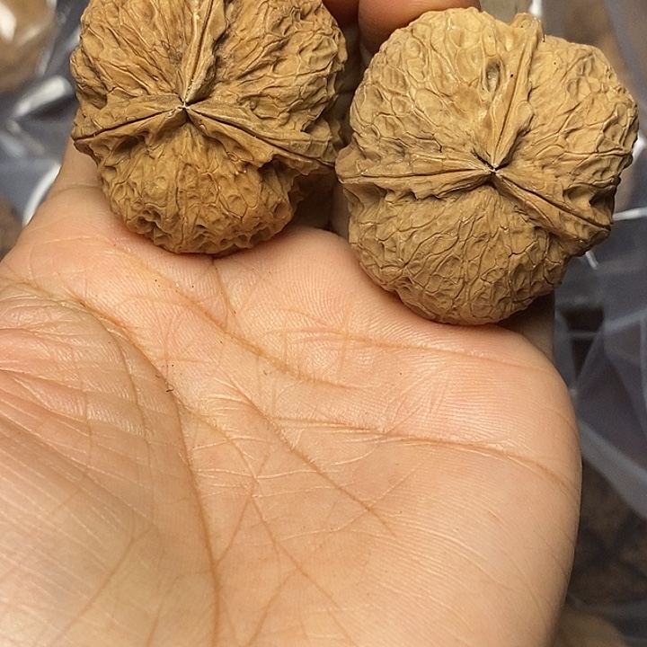 文玩核桃把件云南铁核桃64