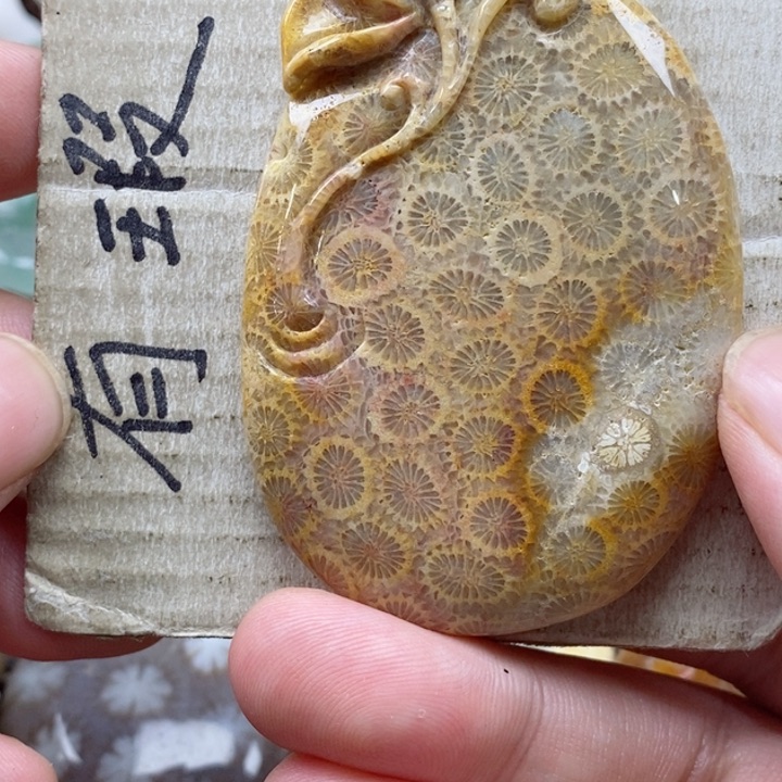 硅化珊瑚（珊瑚玉）颈饰未镶嵌