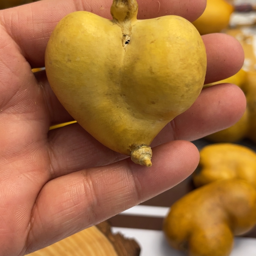 冰***葫芦葫哈哈哈哈哈哈宝贝好