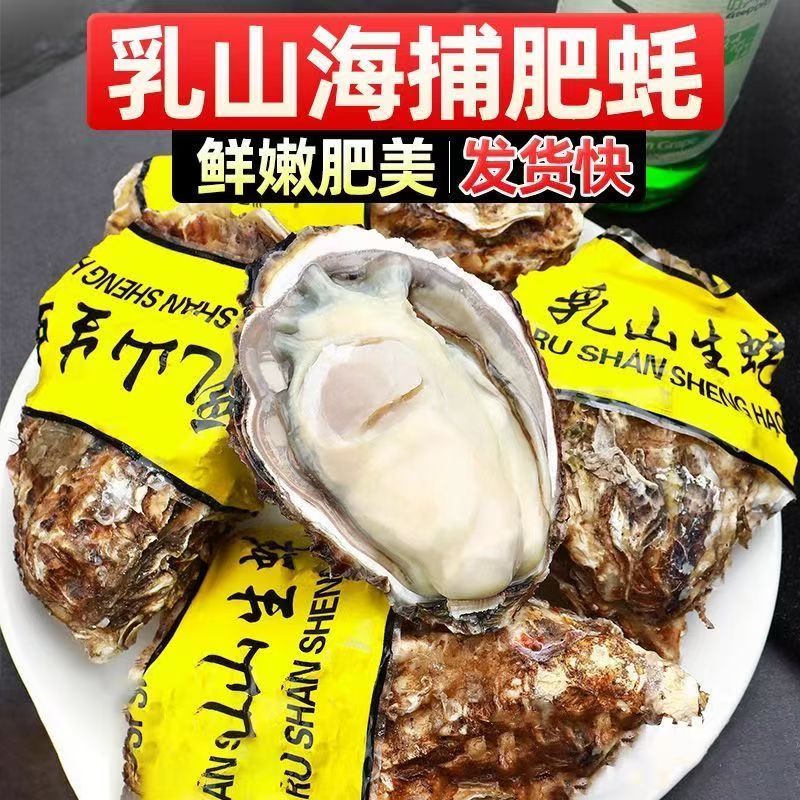 小时达正宗冰冻乳山生蚝礼盒肥牡蛎带壳贝类海蛎子海鲜水产4A+级20个