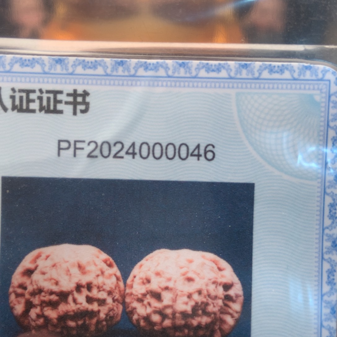 文玩核桃把件小***高54龙鼎 