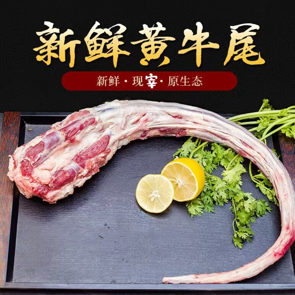 宁夏黄牛，新鲜牛尾，清真食品，炖汤佳品