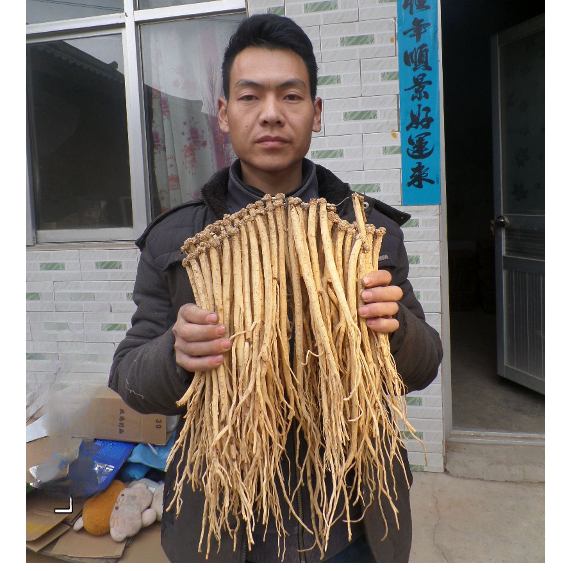 《岷县党参》原产地大条干货可用于煲汤炖鸡汤，无硫熏