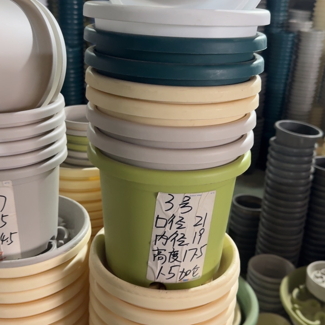 四季3#口径21无拖果绿10个