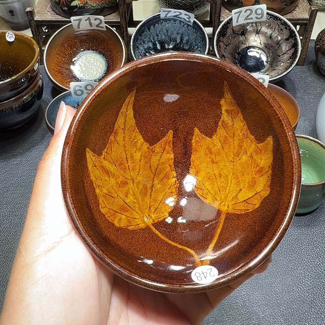 茶盏天才天才工程248