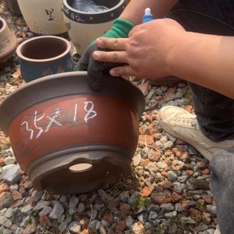红陶紫砂花盆盆景盆栽