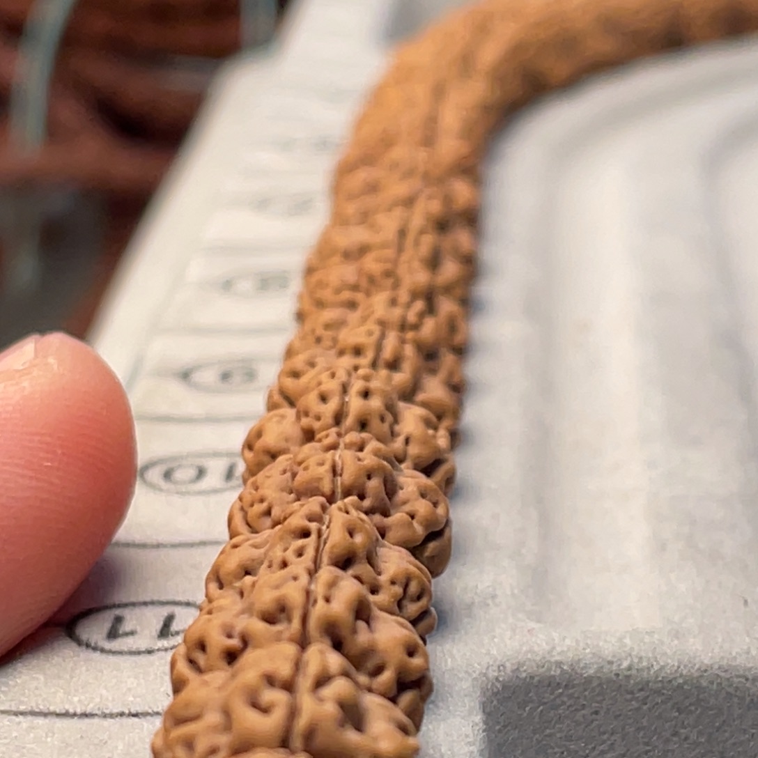 金刚菩提吊坠龙脊暗香手串