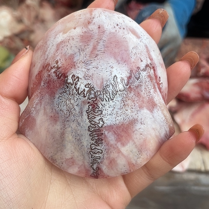 菜***羊养殖鹿骨三界牌子