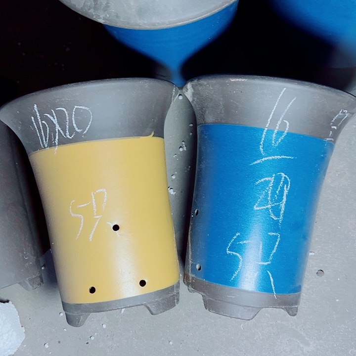 红陶紫砂紫砂紫砂