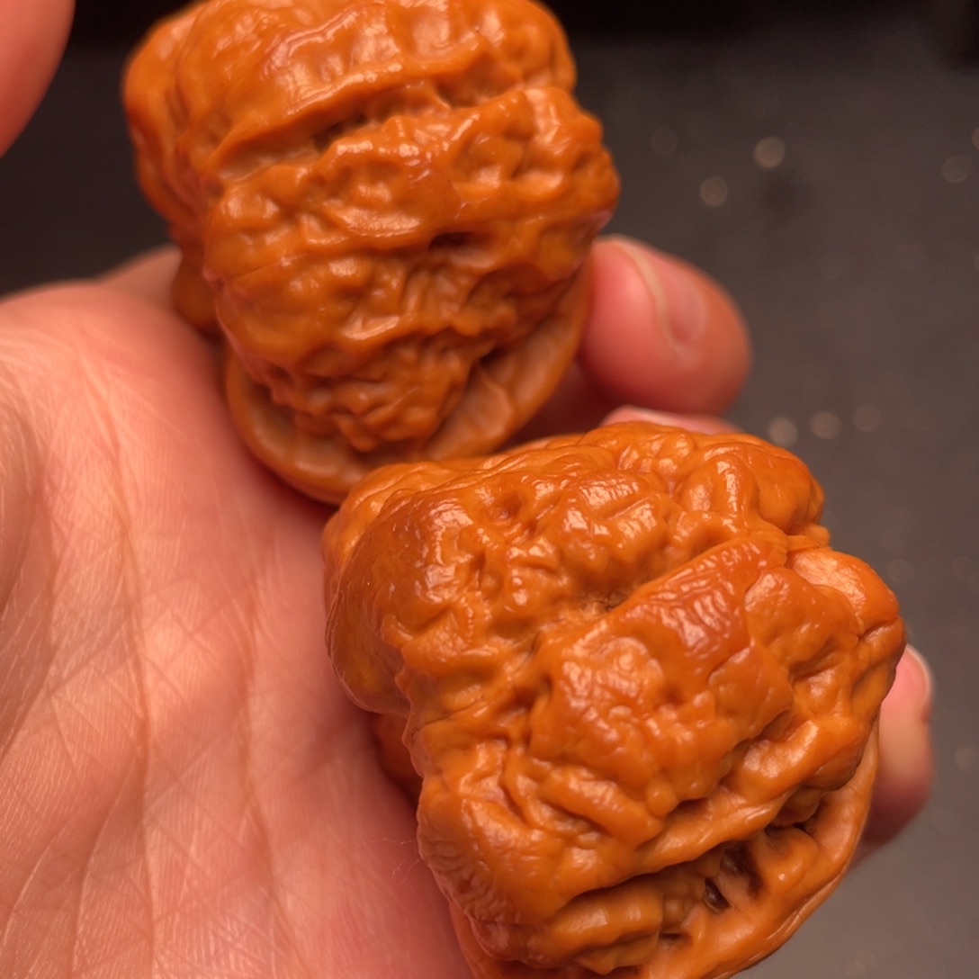 秦岭野生文玩核桃