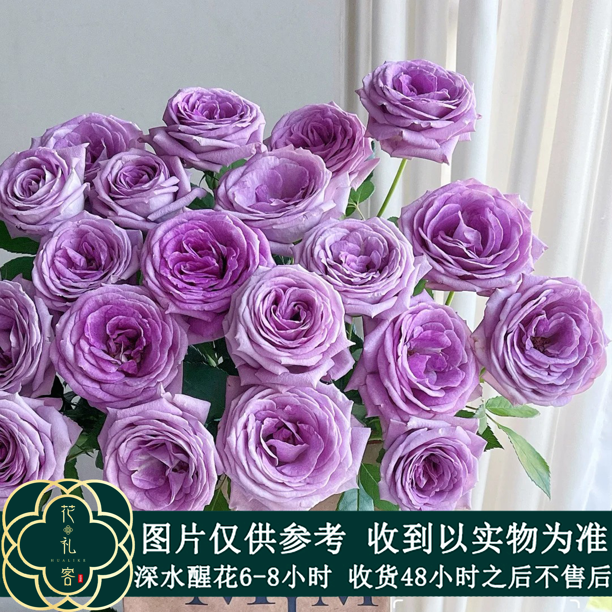 七叶花坊#【德芮尔-紫罗兰的骄傲】稀有小众玫瑰 顺丰直发 玫瑰花