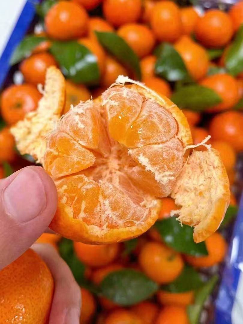 薄皮砂糖橘8斤装