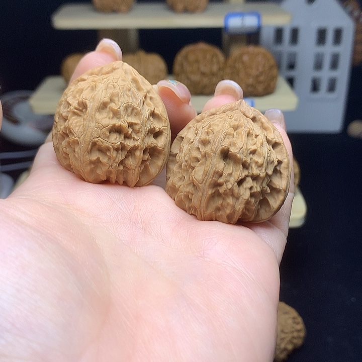 白狮子11111111111111111