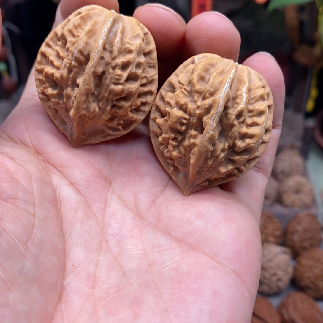 文玩核桃把件蝴蝶龙骨