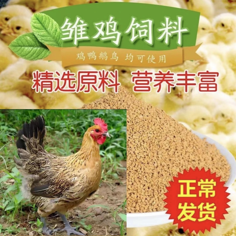 养殖物资饲料健康好喂养