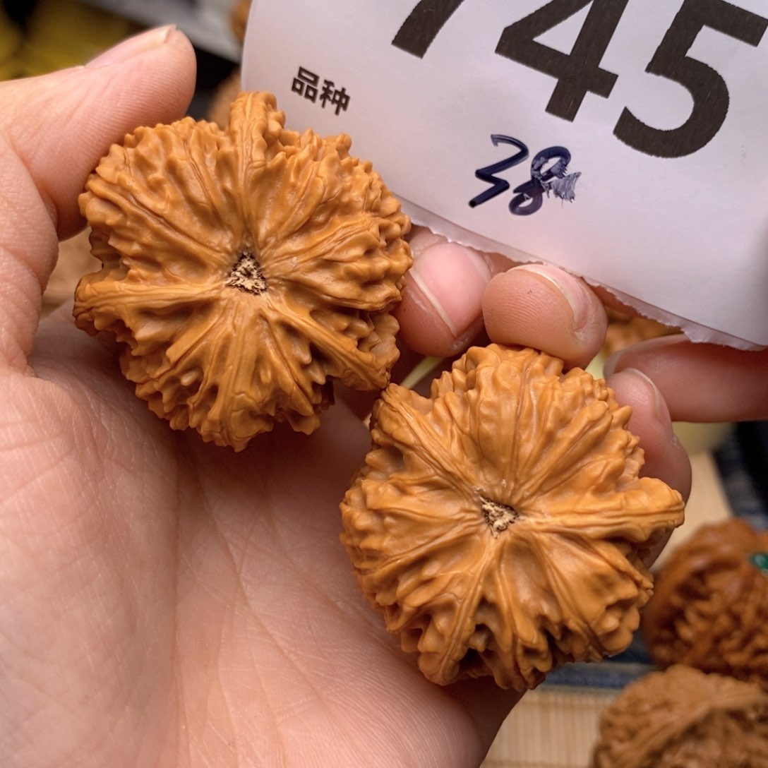 文玩核桃把件745号38玉龙