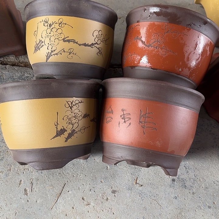 19×15四只          福利价