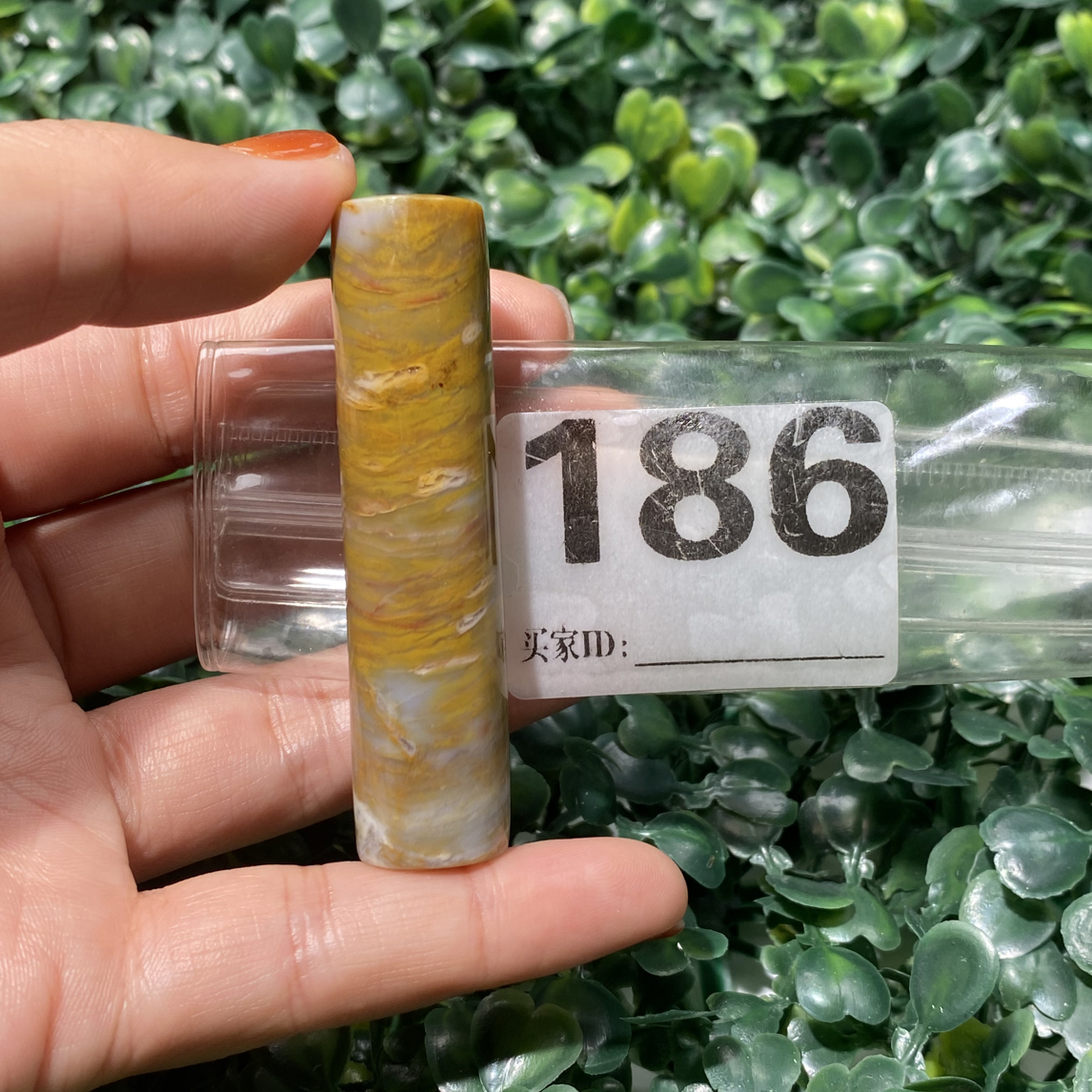 天然北票硅化玉手把