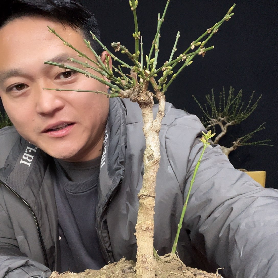 翱***翔无花朵谢谢你的关心和支持