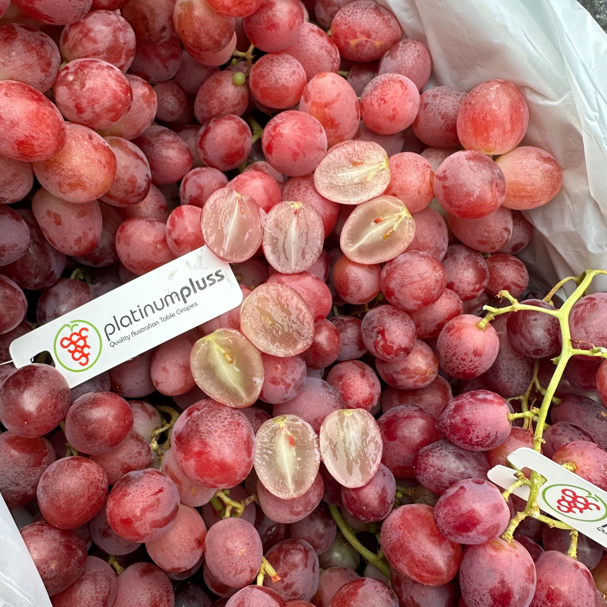 卡丽塔棒棒提250g/500g/1000g【嫩甜多汁】