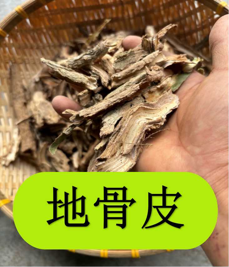 地骨皮 甘肃地骨皮 野枸杞树根皮大山里采挖非种植的大小块都有