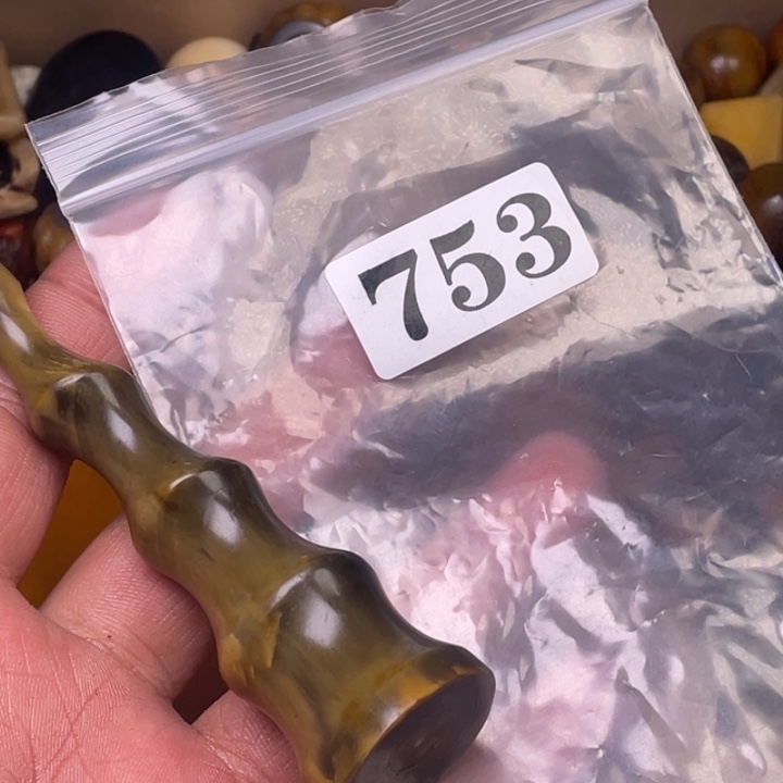 驼骨其他人工养殖