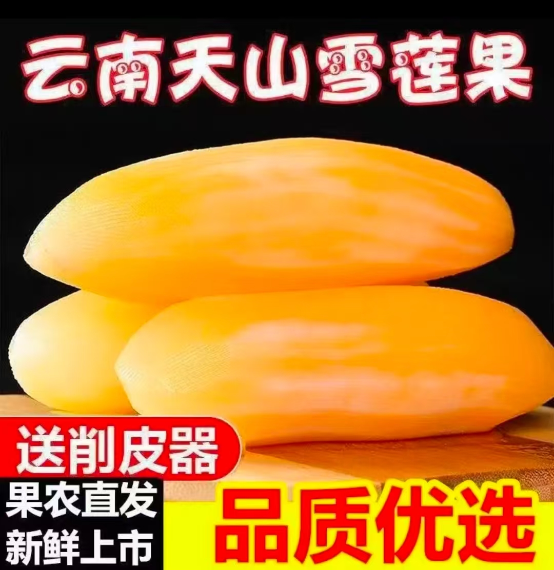 云南天山雪莲果黄心新鲜应季水果清甜脆爽多汁产地现挖现发S