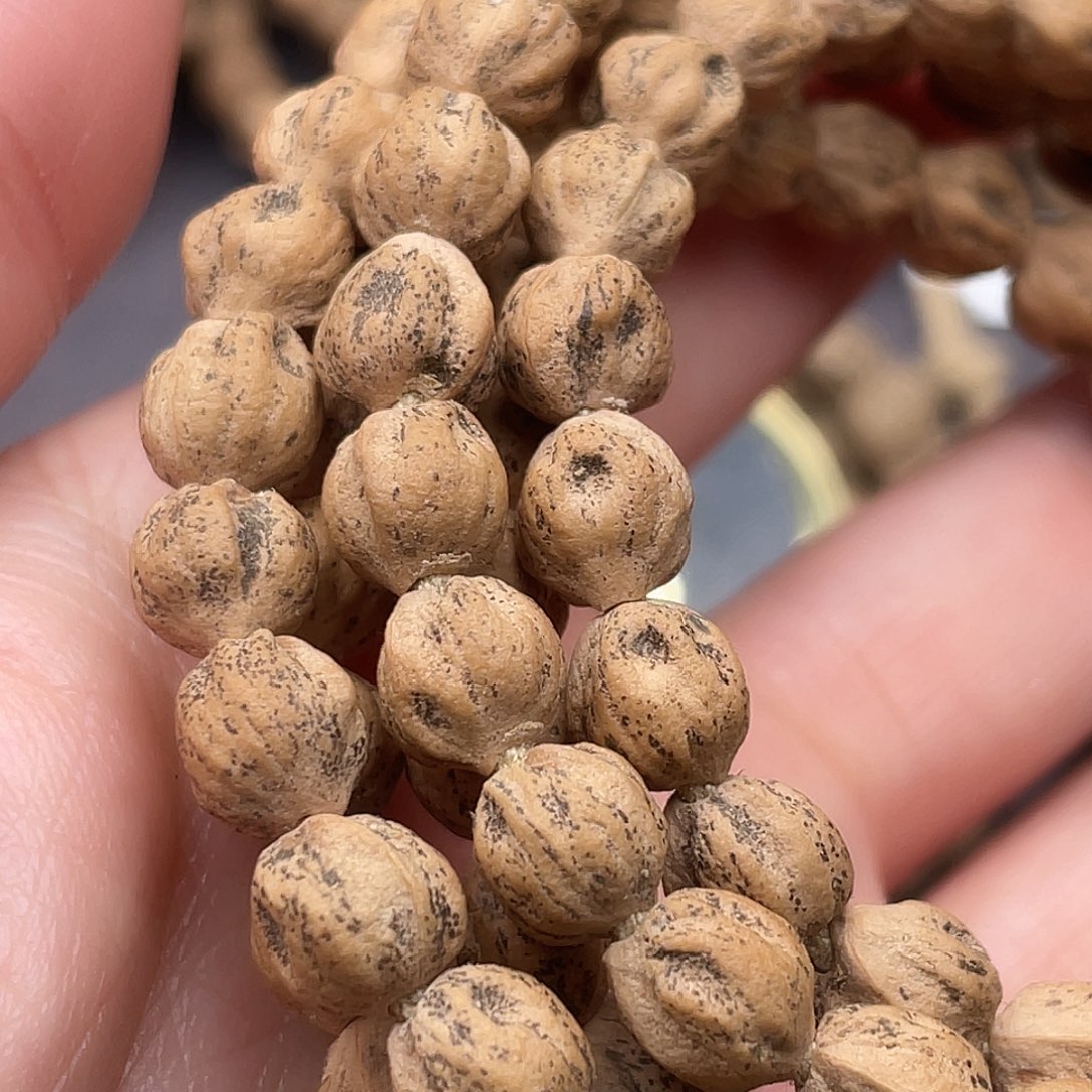 手串柏香籽/百香籽