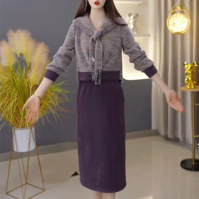 6010两件套秋冬款连衣裙女遮肉2025新款冬裙加厚配大衣内搭打底裙