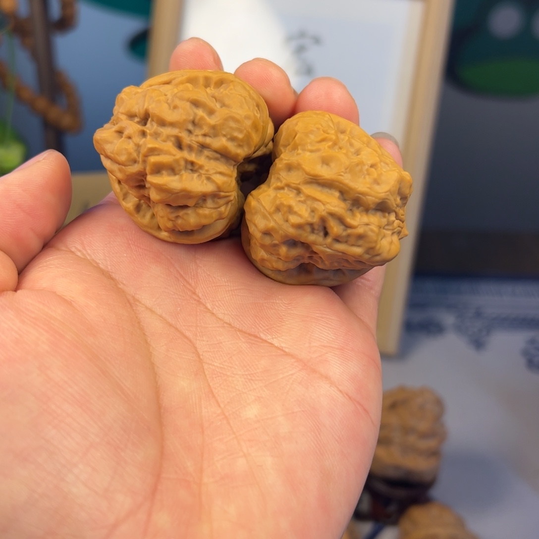 氵***木蛤蟆头41✖️45蛤蟆