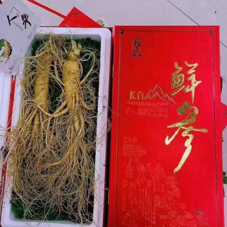 长白山鲜人参~两支一盒（礼盒）~煲汤泡酒煮水