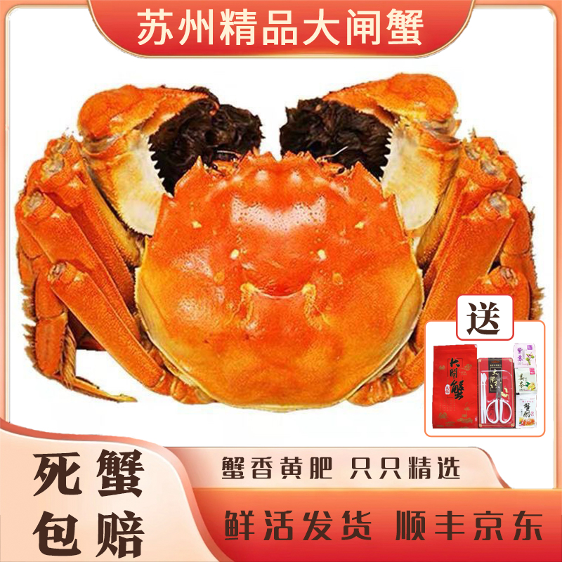 【活蟹】苏州精品大闸蟹公母组合4.5两公母对蟹共8只礼盒装鲜活发货
