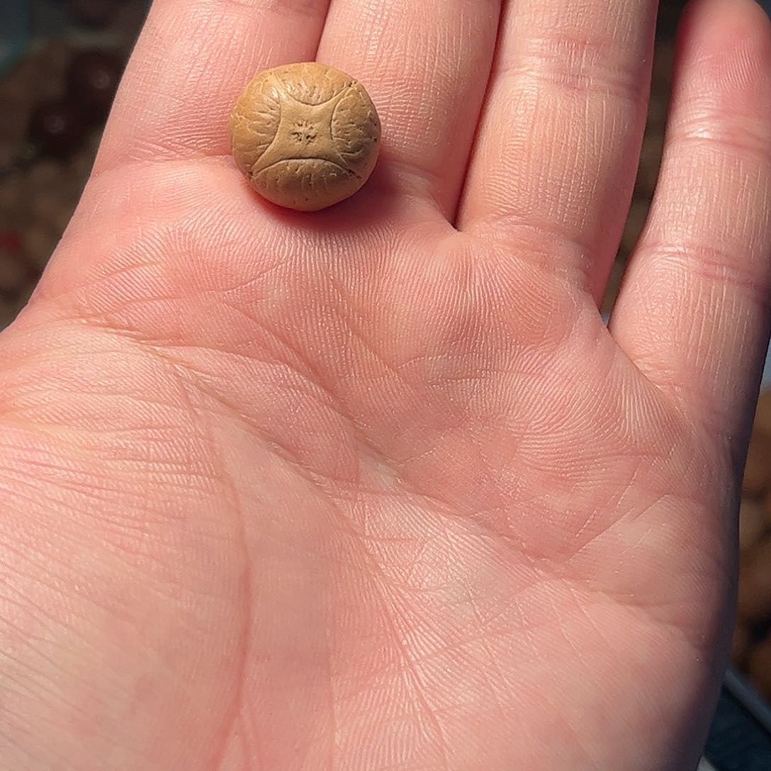 桃核吊坠16.6mm麒麟眼，开孔不退，偏远不包
