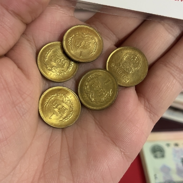 8101长城币5枚好品。。。。。。。。。