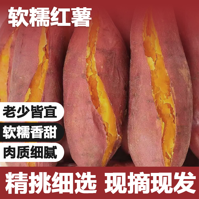 正宗沙地西瓜红蜜薯新鲜现挖高原番薯超甜软糯糖心红薯
