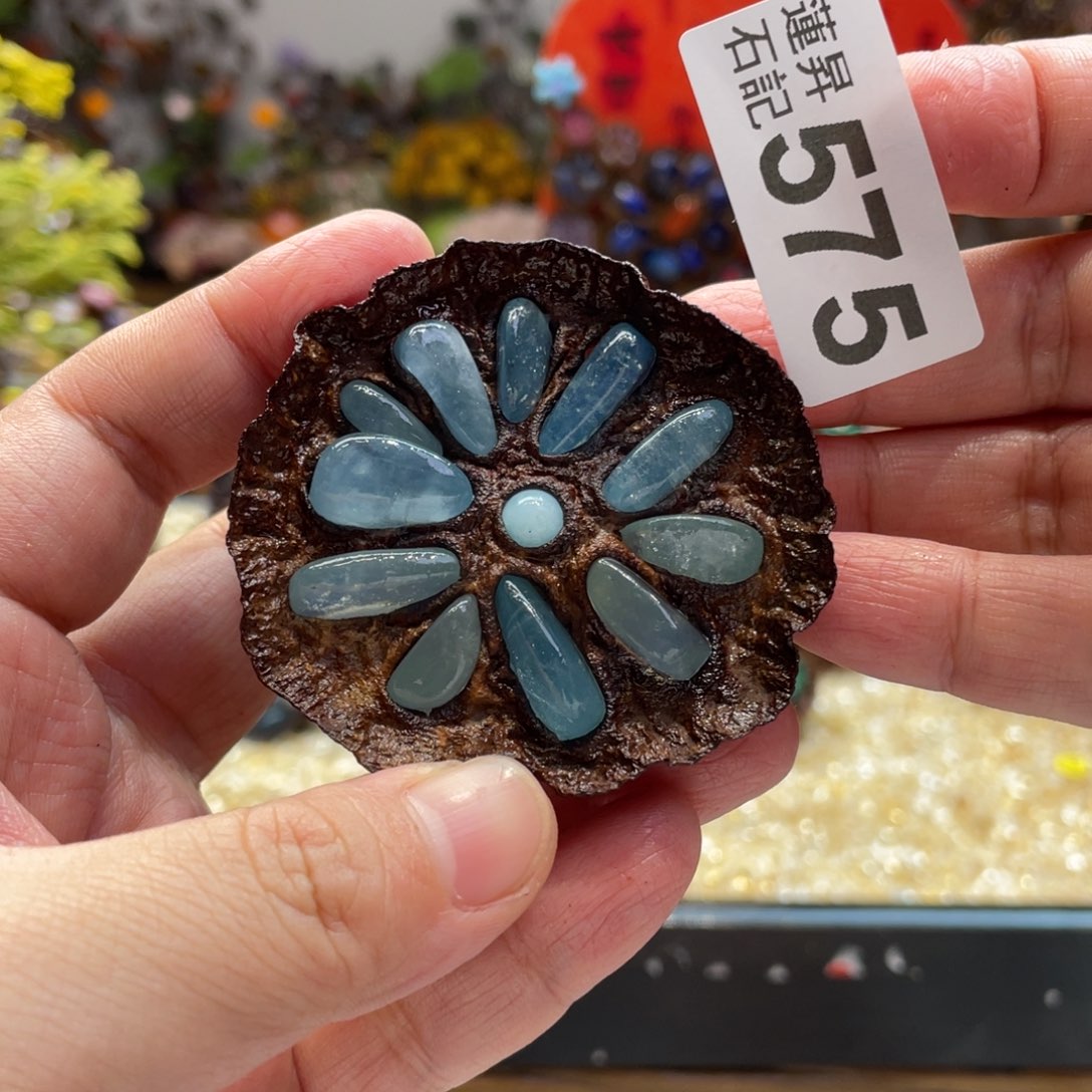 核桃木/黑胡桃（胡桃木）575海蓝