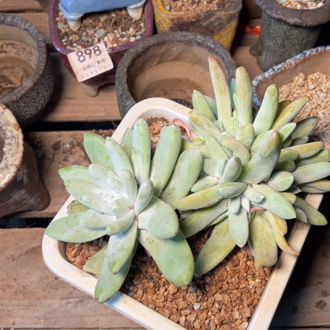 3286哈哈哈哈哈哈哈哈哈